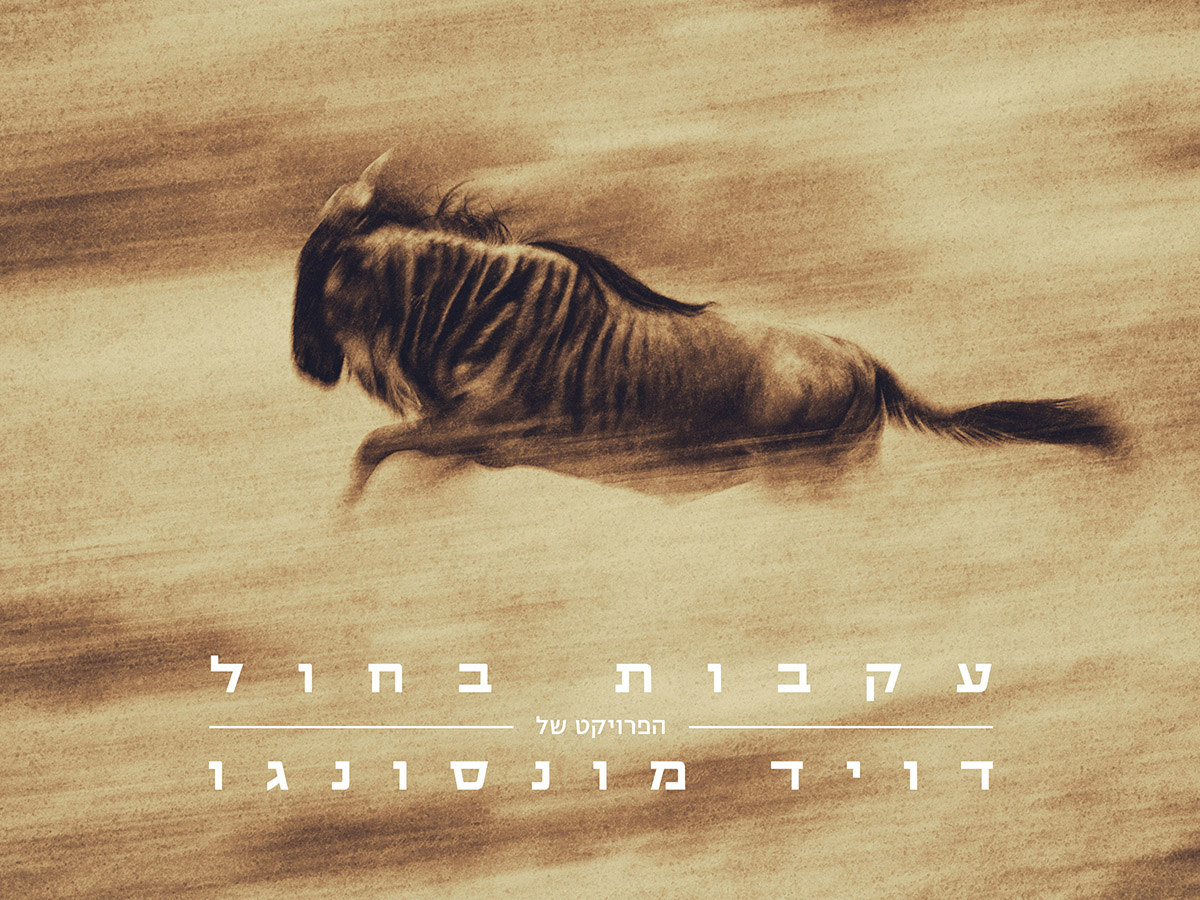 עטיפת האלבום. צילום: דוד מונסונגו