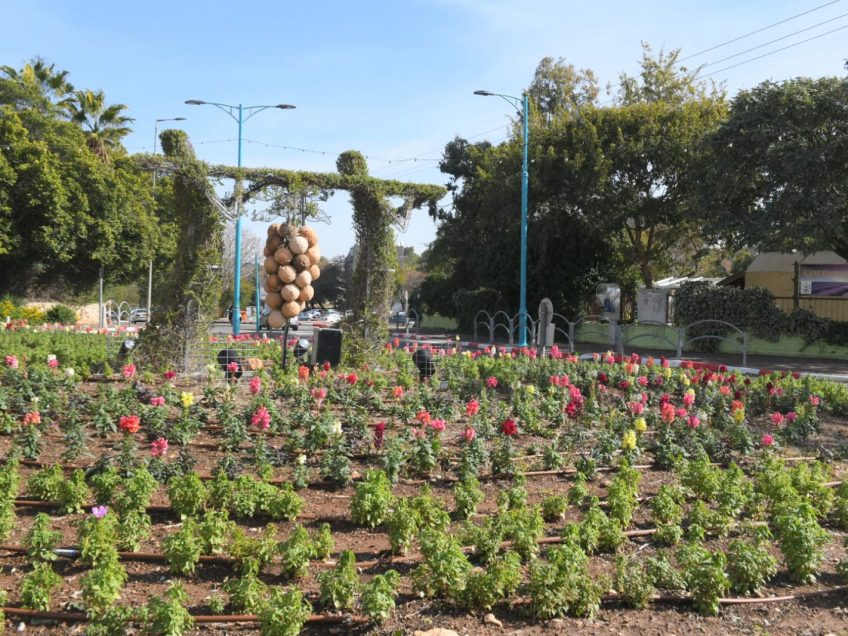 עיר הפרחים עיר הפרחים