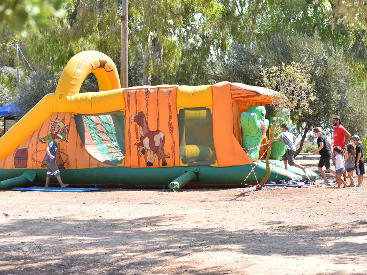 רכיבה ביער ביריה צילום: אבי הירשפלד
