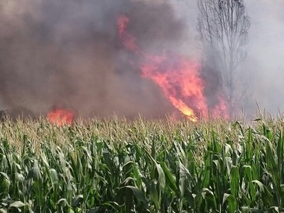 עמק המעיינות: שריפת חורש גדולה בסמוך לסחנה