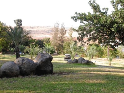 חמדיה חמדיה