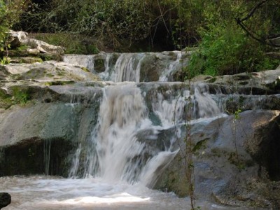 הצעה לטיול משפחתי – אתרים נגישים
