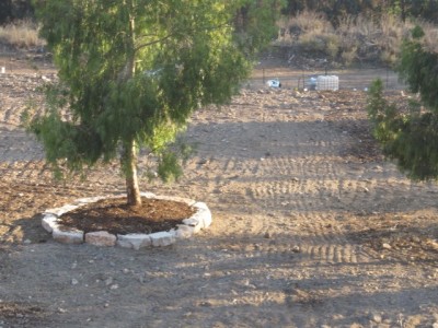 ממפגע נופי לפנינת טבע: המחצבה הנטושה בגניגר תחזור למטיילים