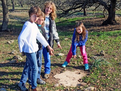 עמק יזרעאל: ילדים חשפו פסיפס עתיק