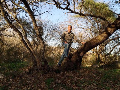 "זכיתי לצבוע את המדינה בירוק"