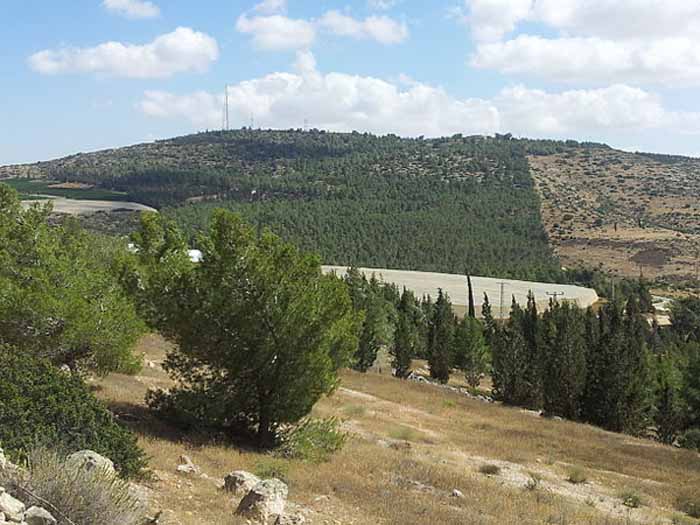 הגלבוע המזרחי, רצון להכפיל את האוכלוסייה מבלי לפגוע בשמורת הטבע