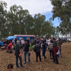 אלפים ביקרו ביער הכלניות במגידו