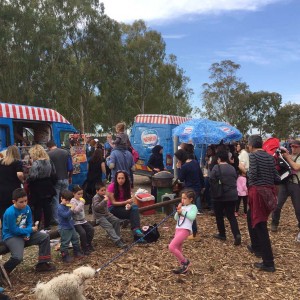 אלפים ביקרו ביער הכלניות במגידו