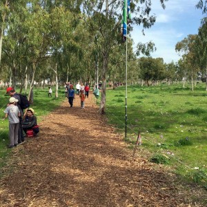 אלפים ביקרו ביער הכלניות במגידו