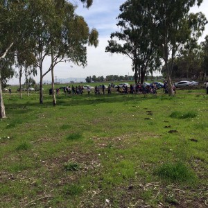 אלפים ביקרו ביער הכלניות במגידו