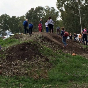 אלפים ביקרו ביער הכלניות במגידו