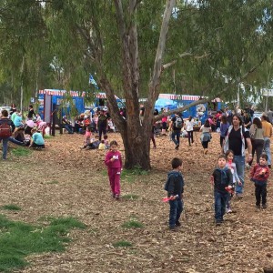 אלפים ביקרו ביער הכלניות במגידו