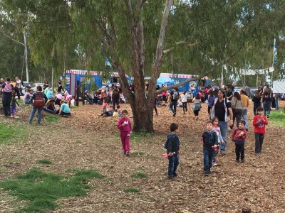 אדום עולה: אלפים ביקרו ביער הכלניות במגידו