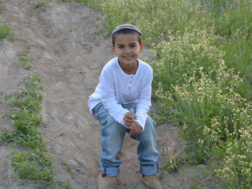 מפתיע: בן 7 חשף פסלון בן 3400 שנה