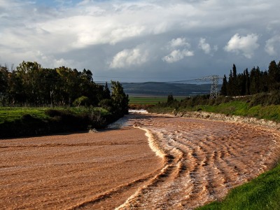 אגם ברוך: שבילים צפים בפארק החדש