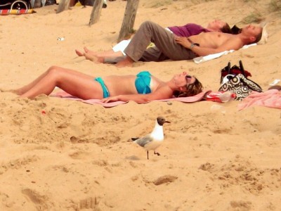 מד"א: כך תישמרו מפני סכנות החום הכבד