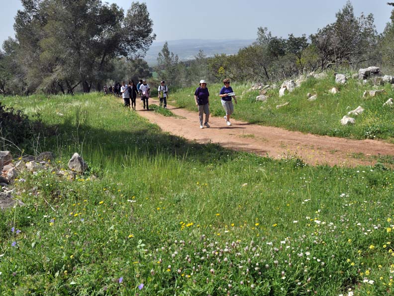 לרשות הצועדים 3 מסלולים ברמות קושי שונות