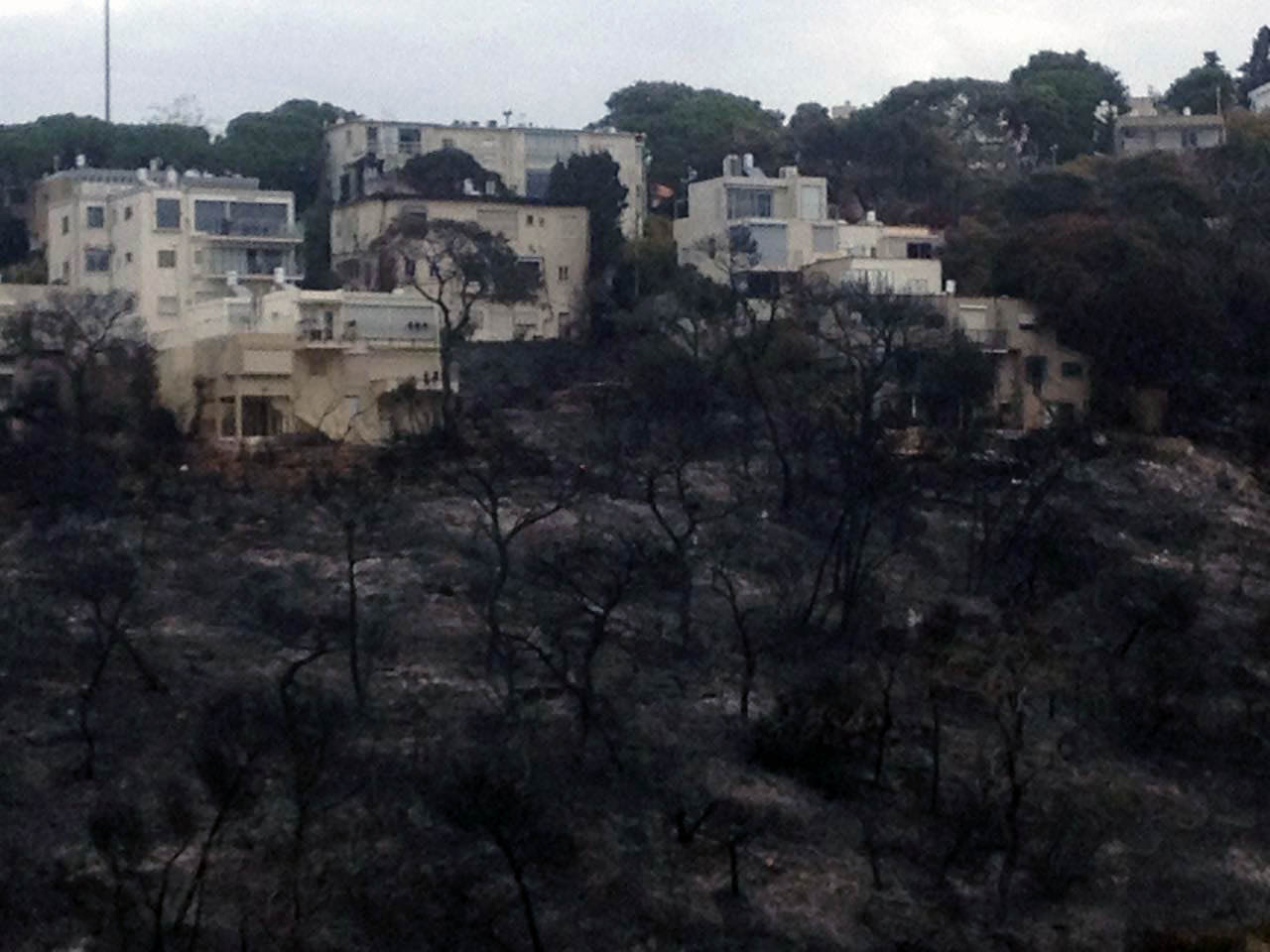 מראה עגום לאחר השריפה בשכונות הכרמל