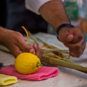 יריד ארבעת המינים. צילום: מרלן נוי