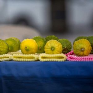 יריד ארבעת המינים. צילום: מרלן נוי