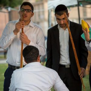 יריד ארבעת המינים. צילום: מרלן נוי