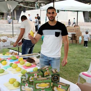 יריד ארבעת המינים
