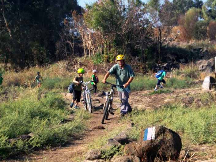 טיול אופניים בסובב כינרת צילום רשות הכינרת (2)