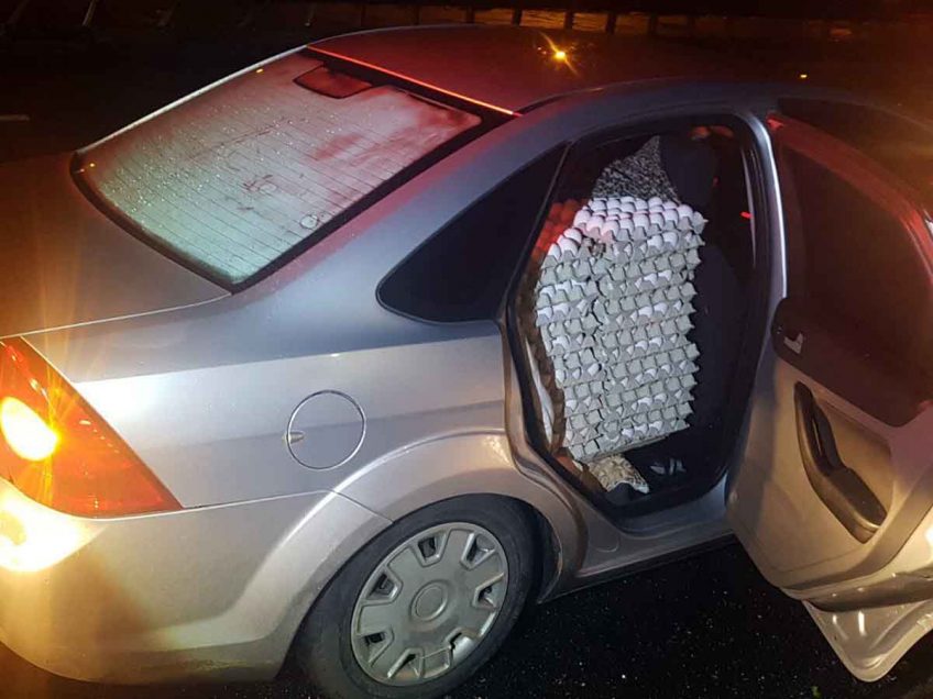 בסמוך לצומת תל עדשים: סוכלה הברחת אלפי ביצים מהשטחים בסמוך לצומת תל עדשים: סוכלה הברחת אלפי ביצים מהשטחים