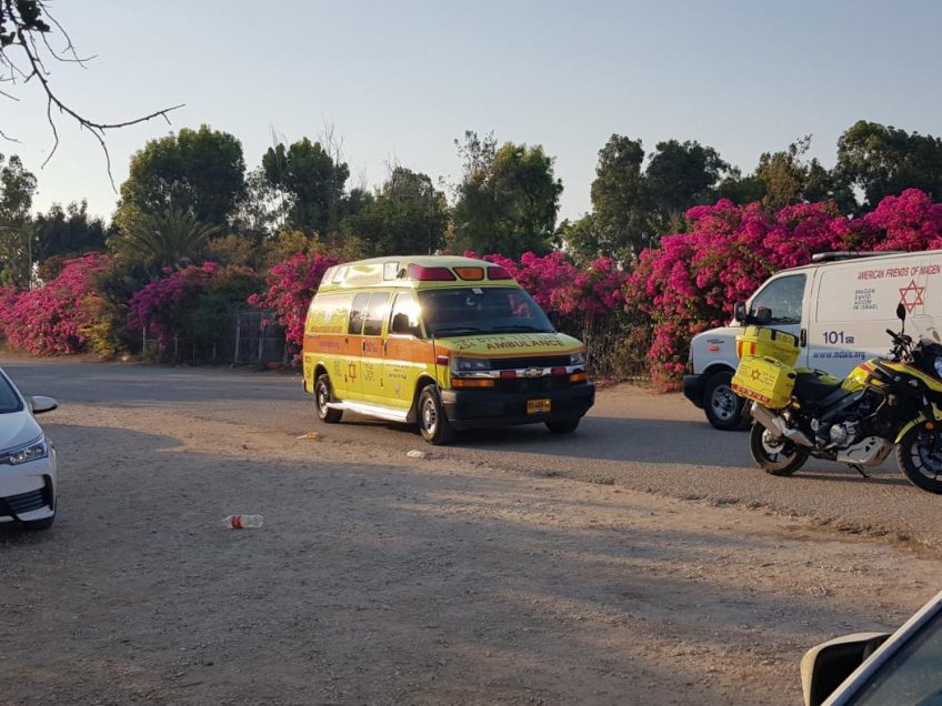 תאונת פגע וברח בסמוך ליער מגידו תאונת פגע וברח בסמוך ליער מגידו