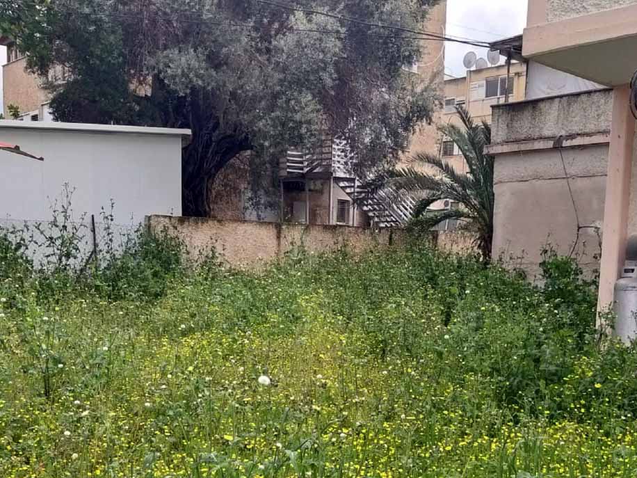 החצר המוזנחת לפני הניקוי