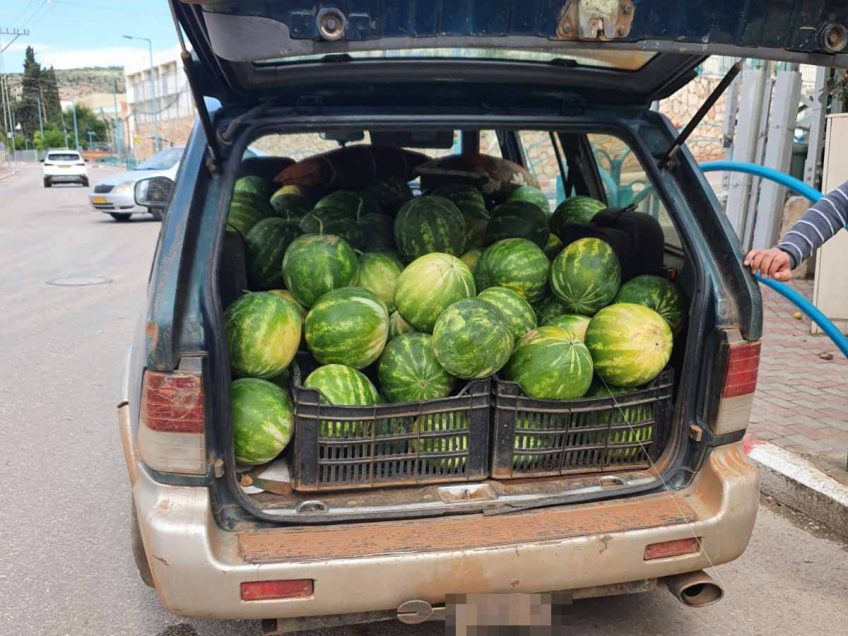 מחמם לב: טון אבטיחים שנגנבו מחקלאי בקיבוץ טירת צבי יועברו לבית תמחוי בבית שאן מחמם לב: טון אבטיחים שנגנבו מחקלאי בקיבוץ טירת צבי יועברו לבית תמחוי בבית שאן