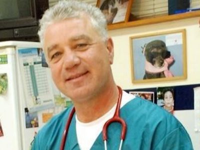 איך מונעים קרציות ופרעושים בחיות המחמד