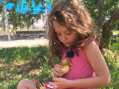 אל אל יזרעאל