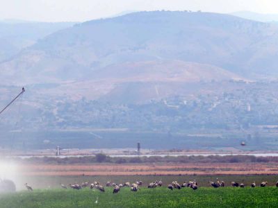 40 מעלות: קבלת פנים חמה לחסידות בעמק המעיינות