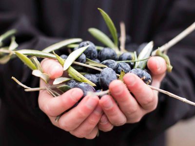 הזמן המופלא של ראשית המסיק