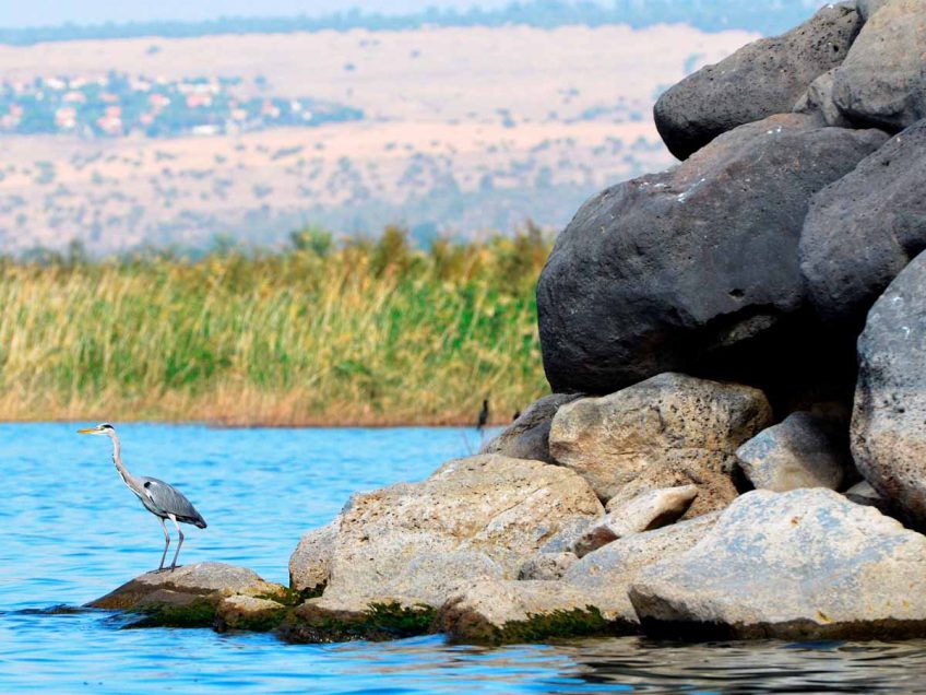 לאן בשבת עם המשפחה? טיול סתוי בכינרת