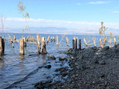 טיול לשבת: מחוף גופרה לטיילת עין גב