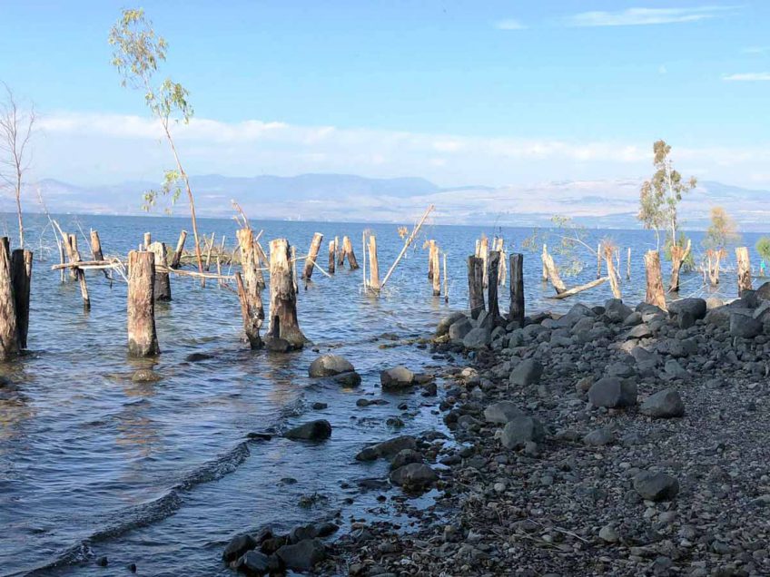 טיול לשבת: מחוף גופרה לטיילת עין גב