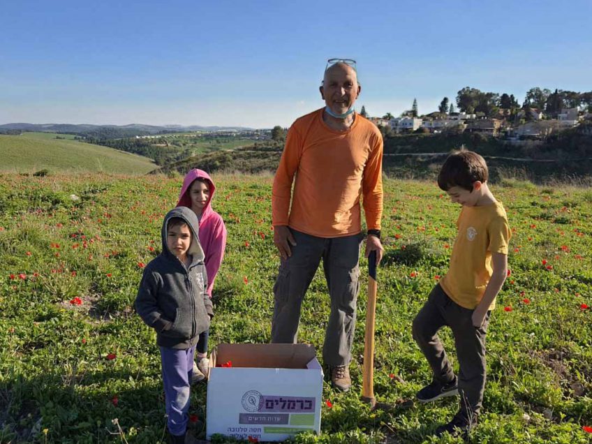 מגידו מבצע להצלת פקעות הבר לפני עליית הבולדוזרים מגידו מבצע להצלת פקעות הבר לפני עליית הבולדוזרים