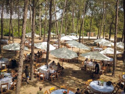 הפקת אירוע בטבע בתקופת הקורונה