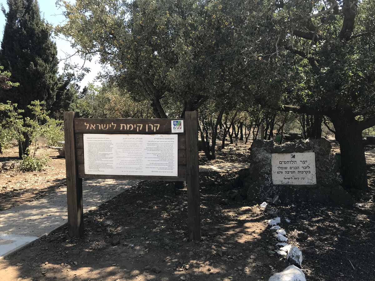 חניון הלוחמים - יער שיפון ברמת הגול