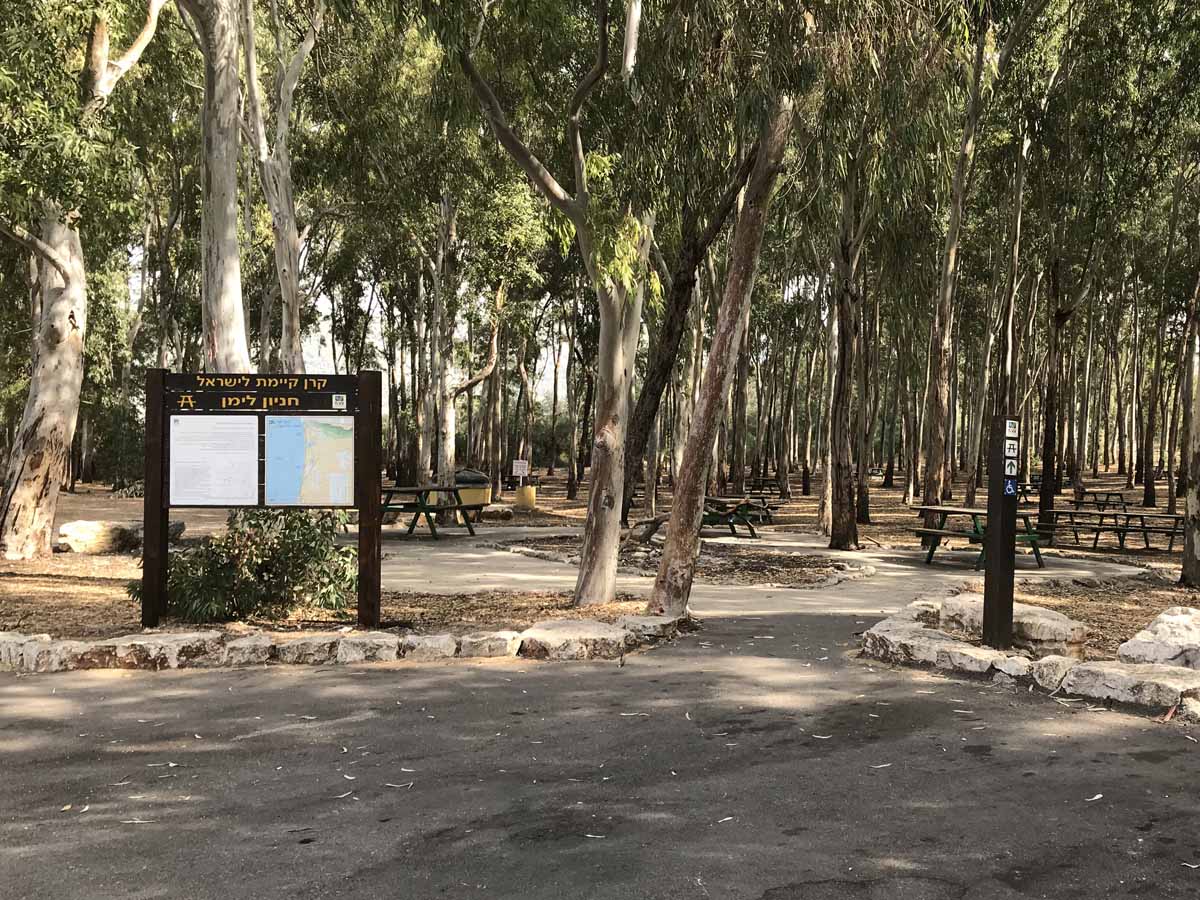 חניון לימן - בצת