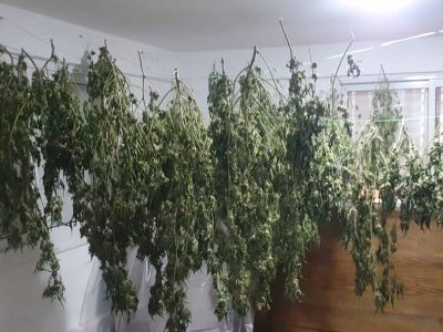 מעבדת סמים נחשפה באזור בית שאן