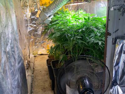 מגדל העמק: המשטרה חשפה מעבדה לגידול סמים