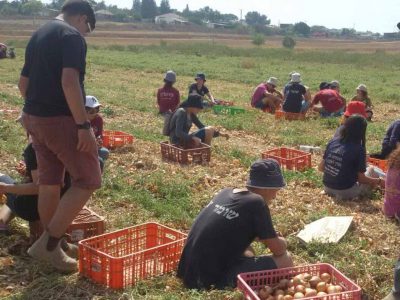 חופש גדול חקלאי: "יוצאים מהמסכים" לשדות