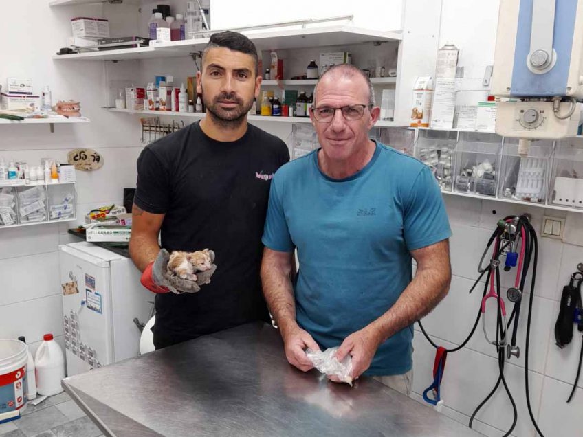 לוחמי האש סייעו לחילוץ 3 חתולים שנלכדו לוחמי האש סייעו לחילוץ 3 חתולים שנלכדו