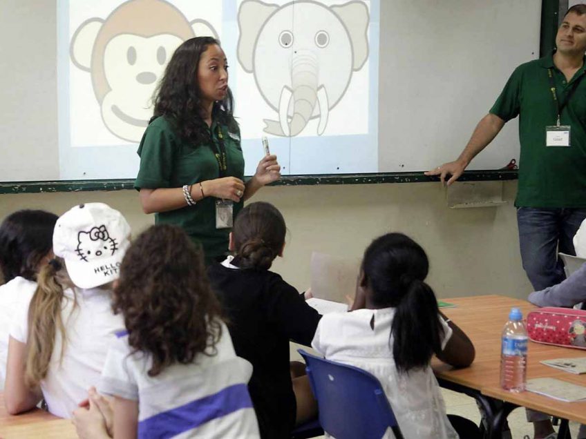 קיץ בינלאומי בעפולה קיץ בינלאומי בעפולה
