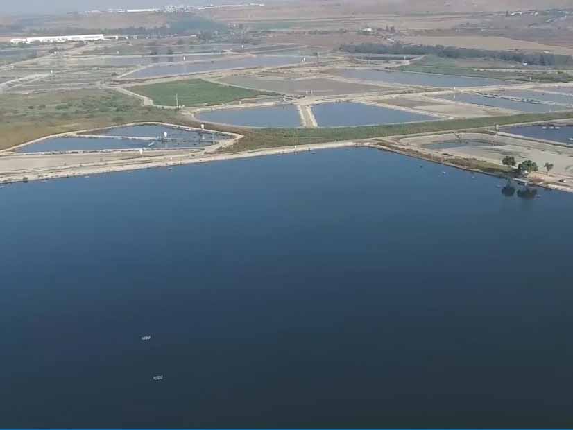 חדשנות ב"אינוואלי" בעמק המעיינות: פרויקט להקמת מתקן פיילוט לגידול דגי סלמון חדשנות ב"אינוואלי" בעמק המעיינות: פרויקט להקמת מתקן פיילוט לגידול דגי סלמון