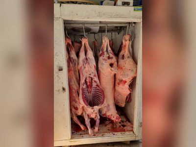 כמעט בצלחת שלכם: טון בשר פיראטי נתפס באזור ע״י המשטרה