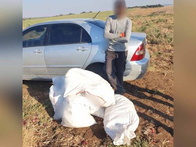 המאבק בגניבות החקלאיות: נלכד חשוד בגניבת עשרות ק"ג בצל מבית קשת